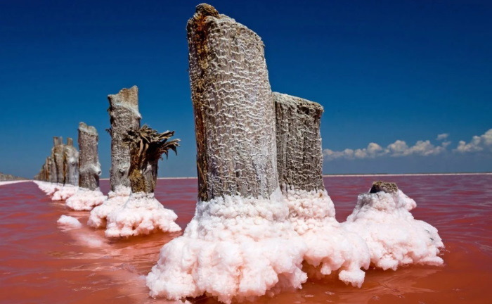 Розовое озеро Сасык-Сиваш в Евпатории, Крым