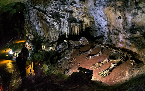 Интересные места в Мамомнтовой пещере